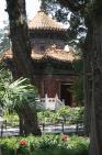 2006_06_2992