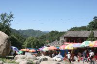 2006_06_3354 