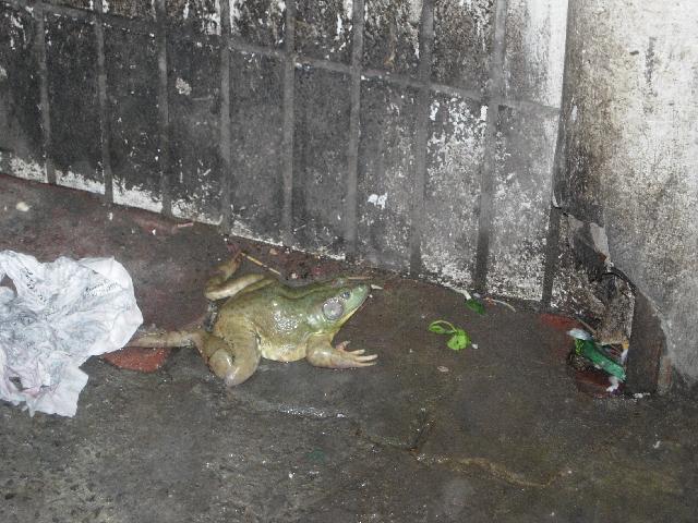 DSCN1553 