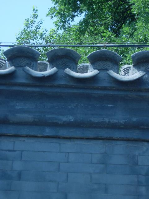 DSCN2233 